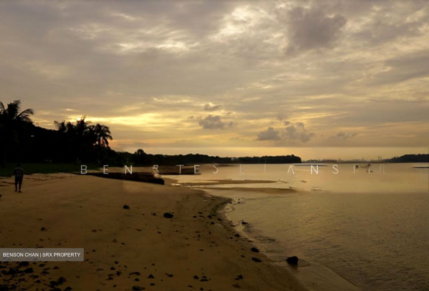 Pasir Ris Beach Park (D18), Semi-Detached #505955141